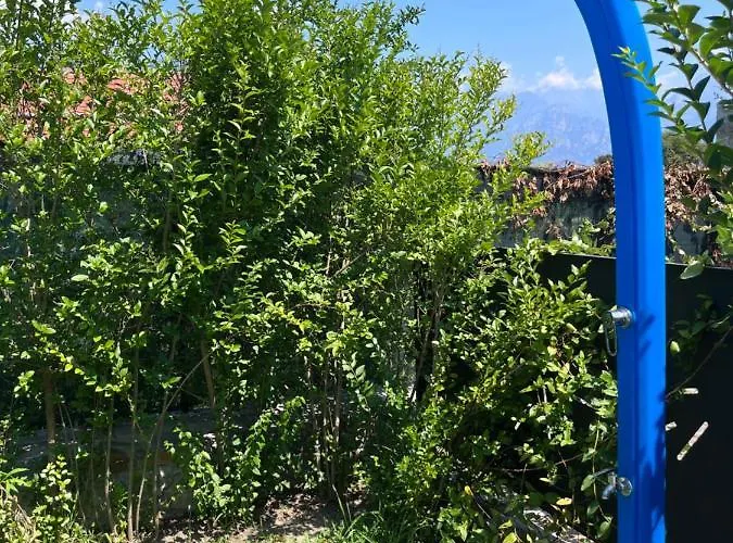 Apartment Casa Unica- Da Bruno Colico